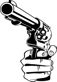Gun
