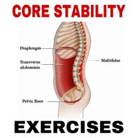 mohamed ahmed on Instagram: "💥Core stability💥 📚 The core is the group of trunk and hip muscles that surround the spine, abdominal viscera and hip. Core muscles are essential for proper load balance within the spine, pelvis, and kinetic chain. . ✅ The core does not function to flex and extend the spine It functions to RESIST motion of the spine. . 💯 The importance of the core relate to its function ie sparing the spine from excessive load and transfer force from the lower body to the upper bo