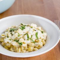Pasta Shells with Cauliflower Alfredo Sauce