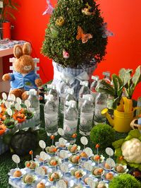 Cute Peter rabbit child's birthday idea