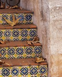 Spanish Tile Stair Poster by Sandra Bronstein. All posters are professionally printed, packaged, and shipped within 3 - 4 business days. Choose from multiple sizes and hundreds of frame and mat options.
