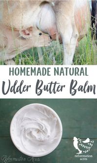 Udder Butter Balm- Homemade natural whipped body butter for the home dairy. #cow #goat #sheep #udder #butter #homesteading