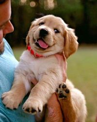 100+ Cutest Pictures That Will Make You Want A Puppy ASAP - SeeCrush #cute #puppy #puppies #dogslover