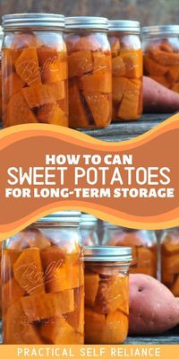 Pressure canning sweet potatoes is an easy way to preserve them for year-round use. Once canned, they're shelf stable and ready to eat at a moment's notice. Just heat and serve, or prepare them in your favorite recipes. #canning #foodpreservation #preserving #homecanning #canningrecipes #recipe #pressurecanning #sweetpotatoes