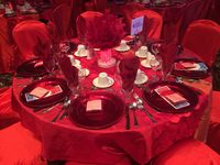 Fire and Ice Ball - fire table with featherball centrepiece #fireandice #fire #ice #lethbridgeeventrentals #lethbridgeevents #events #decor #red #blue #uplights #featherball #centerpiece #tree #tablechandelier #chandelier