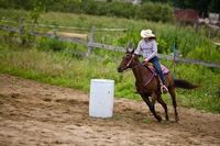 How to Build Up the Hindquarters of a Horse