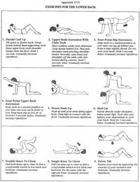 Great little diagram illustrating popular lower back exercises!