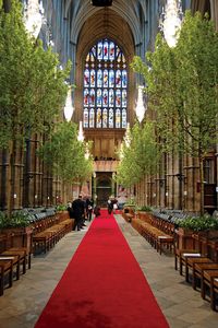 Shane Connolly, Flower Maestro - Flower Magazine