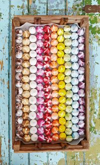 Meringue-Kisses-The-Meringue-Girls-Crafty-Magazine