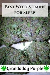 Medical marijuana is a godsend for so many. Especially those who suffer from insomnia. Therefore, check out the best cannabis strains for insomnia here. You will notice that these strains are primarily indica but are really good for those who suffer from sleep problems. #indica #insomnia #cannabis #medicalMarijuana Best Weed Strainsfor Sleep