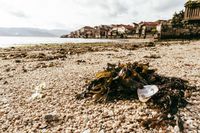 Combarro | Galicia (España)