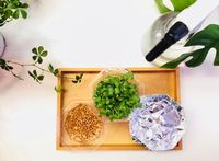 スプラウト栽培はベランダや畑で野菜を作っていなくても、ご自宅のキッチンでできる家庭菜園です。スプラウト栽培は 、短期間で収穫できることも魅力の一つですね。 楽しみながらスプラウト栽培をして、一品おかずを増やしちゃいましょう♪