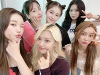 MOMOLAND