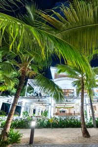 Amazing tropical ambience for Thomas and Lauren's destination wedding at Grand Bahia Principe Punta Cana, Dominican Republic | Wedding photography and video by Milan Photo Cine Art #wedding #destinationwedding #weddingvenue #tropicalwedding #weddingphotography #caribbean #summer #palms #grandbahiaprincipepuntacana #milanphotocineart #photocineart