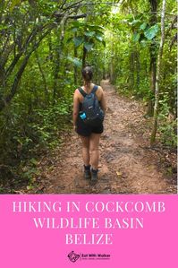 Teeming with incredible wildlife, a friendly Caribbean vibe and lots of diverse eco-systems, Belize is an incredible place to visit. Discovering Cockscomb was a real joy and we loved our time hiking in Cockscomb Wildlife Basin in Belize, the first Jaguar Reserve in the world.