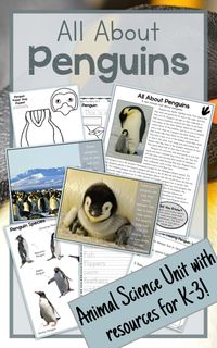 Real photos, non-fiction articles, crafts, worksheets, and writing templates to round out your unit about penguins. This package is geared towards pre-K through 2nd grade and has a variety of levels of reading and writing resources. Its seriously packed with amazing stuff!