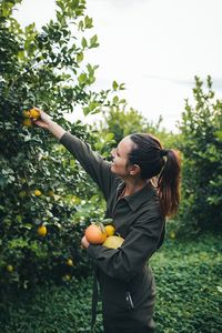 Cristina Navarro, fotógrafa profesional recogiendo cítricos en la huerta de Murcia para un proyecto artístico.
