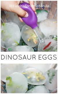 Frozen Dinosaur Eggs Ice Excavation Sensory Play