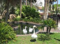 Lake Eola Park Reviews - Orlando, Central Florida Attractions - TripAdvisor