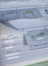 A peek into our Spanish Interactive Notebooks: Recording vocabulary or target structures with flip-ups. I like these because they are quick, don't distract from the storytelling, and do more than just a translation of the word. Section 2: Class Content