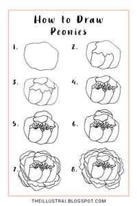 A step by step tutorial on how to draw peonies