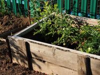 Top 10 Rules for Spring Gardening | HGTV