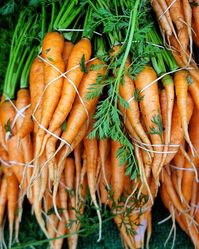 One of my favorite fall activities is going to the farmers market to find local fall produce. I picked up these beauties at the farmers market downtown. What’s your favorite farmers market in Chicago? 🥕🍁🥕