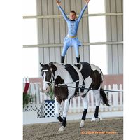 costume class for vaulting - Google Search