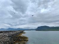 Roadtrip Islande I Péninsule de Snæfellsnes I supertouriste.com