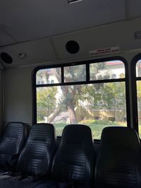 los ángeles