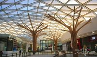 SA Midrand - Inside the Mall of Africa - trees and triangles