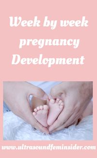 Want to know what to expect on your next prenatal visit, check out my blog for all the info, Weekly Ultrasounds included!!! #baby #ultrasound #motherhood #momtobe #pregnancy