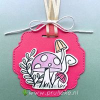 Voor de kleurencombinatie van mei 2021 maakte ik dit leuke label voor aan mijn Ombre Gift Bag. De Snailed It paddenstoelen zijn werkelijk schattig in iedere kleurencombinatie! #prulleke #prullekekleurencombinatie #snaileditstampset #snailmailsuite #ombregiftbags #stampinupdemonstrator #stampinupnederland #20212023incolors