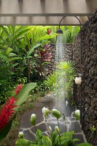 Duchas naturales para rediseñar el hogar