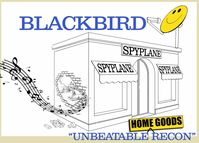 Is your home rich in spirit?? - Blackbird Spyplane
