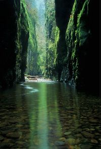 Oneonta Gorge, Oregon The Emerald Canyon- it has 4 waterfalls! #Oregon #Canyons #Travel www.phuketgolfleisure.com