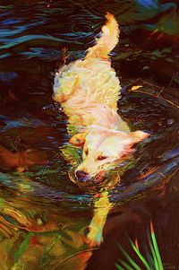 Waterdance Print By Kelly Mcneil