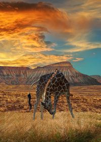 Africa -- by peter holme iii