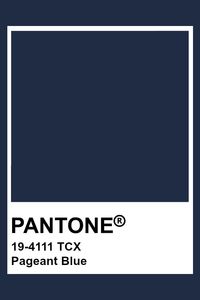 PANTONE 19-4111 TCX Pageant Blue #pantone #color #darkblue