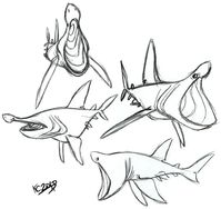 Basking Shark by Polarkeet.deviantart.com on @deviantART