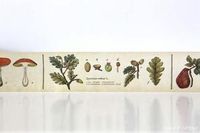 MT Encyclopedia Washi Tape Japanese - Shop CuteTape USA