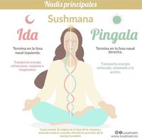 ¿Sabes lo que son los nadis? – Blog de Akaljoti Yoga