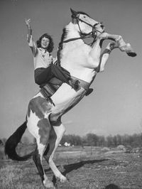 cowgirl