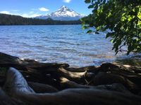 The Lost Lake Loop Trail is a fun, easy hike that's perfect for the whole family. You'll find the lake and its trail in the Mount Hood National Forest, and you'll access the trailhead right from the parking lot at Lost Lake Resort's Lodge.
