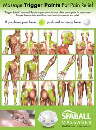Would you like to know some massage therapist secrets for pain relief? I thought so! Knowing where some common trigger points are can be super-helpful. There are hundreds of trigger points in your body and when these trigger points have direct and steady pressure applied you can find relief in the muscle, as well as in … Continue reading Massage Trigger Points For Pain Relief <span class="meta-nav">→</span>