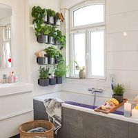LECHUZA Green Wall Glossy white 19x5.5in, wall garden