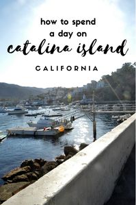 How to Spend a Day on Catalina Island, Los Angeles, California, Avalon Harbor