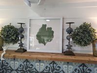 Green Sea Fan Coral In A White Shadowbox