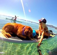 I have always wanted a selfie stick and always wished my dog would like water!!
