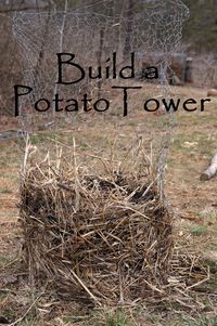 The Backyard Farming Connection
